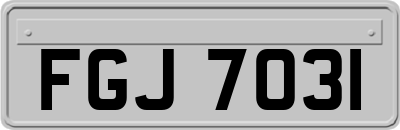 FGJ7031