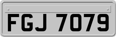 FGJ7079