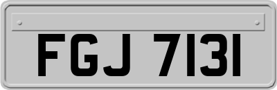 FGJ7131