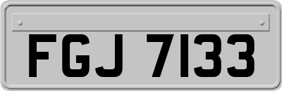 FGJ7133