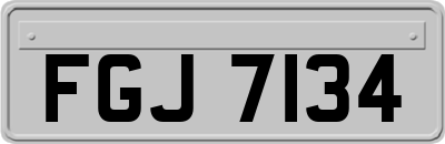 FGJ7134