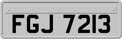 FGJ7213