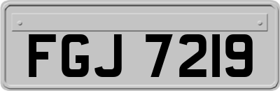 FGJ7219