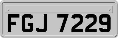 FGJ7229