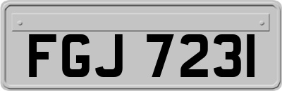 FGJ7231