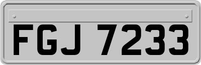 FGJ7233