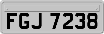 FGJ7238