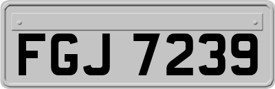 FGJ7239