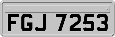 FGJ7253