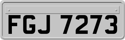 FGJ7273