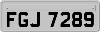 FGJ7289