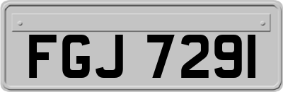 FGJ7291
