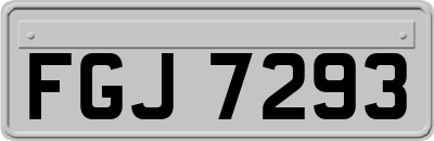 FGJ7293