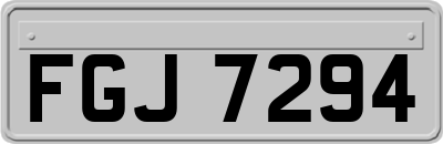 FGJ7294