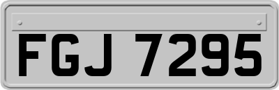 FGJ7295