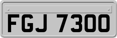 FGJ7300