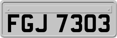 FGJ7303