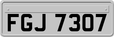 FGJ7307