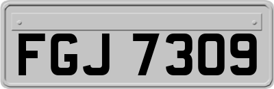 FGJ7309