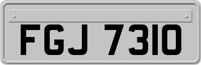 FGJ7310