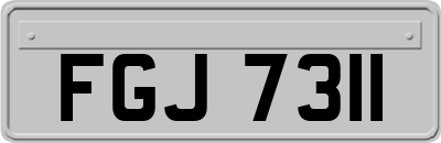 FGJ7311