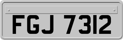 FGJ7312
