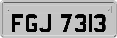 FGJ7313