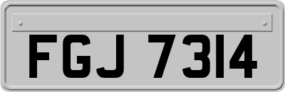 FGJ7314