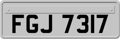 FGJ7317