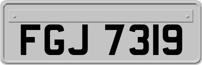 FGJ7319