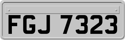 FGJ7323