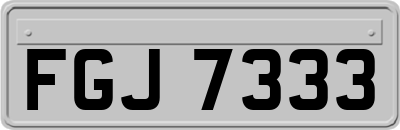 FGJ7333