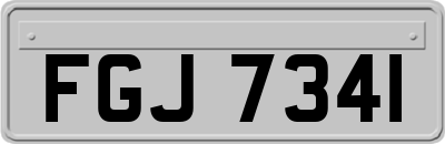 FGJ7341