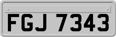 FGJ7343