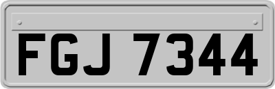 FGJ7344