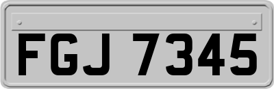 FGJ7345