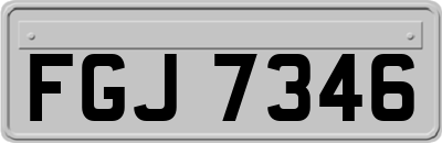 FGJ7346