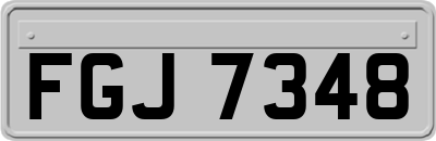 FGJ7348