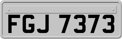 FGJ7373