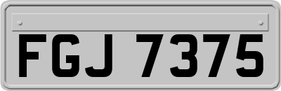 FGJ7375