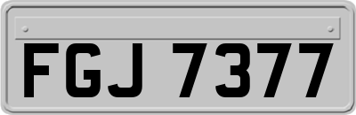 FGJ7377