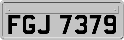 FGJ7379
