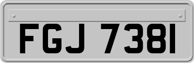 FGJ7381