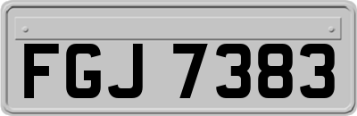 FGJ7383