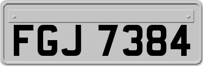 FGJ7384