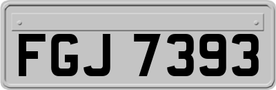 FGJ7393