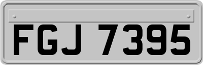 FGJ7395