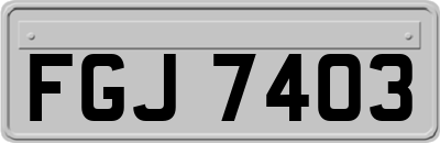 FGJ7403
