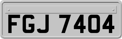 FGJ7404