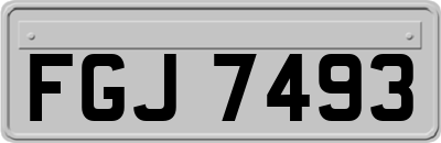 FGJ7493